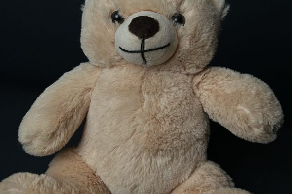 BrownBear