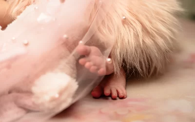Feet2