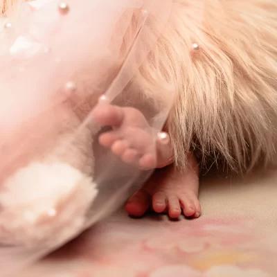 Feet2