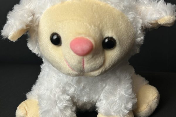 Lamb