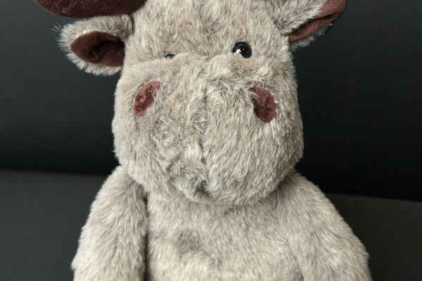 Moose