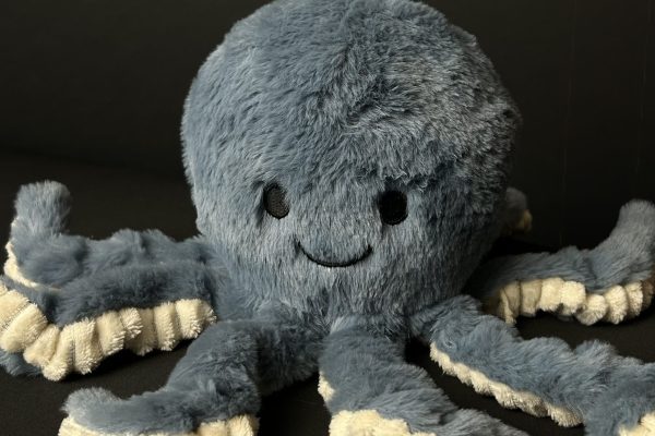 Octopus